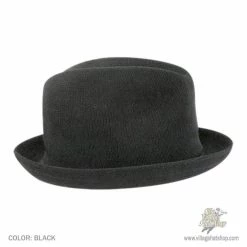 Kangol Tropic Playa Stingy Brim Fedora Hat