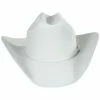 Lightning Wool And Angora Felt Cowboy Hat - White